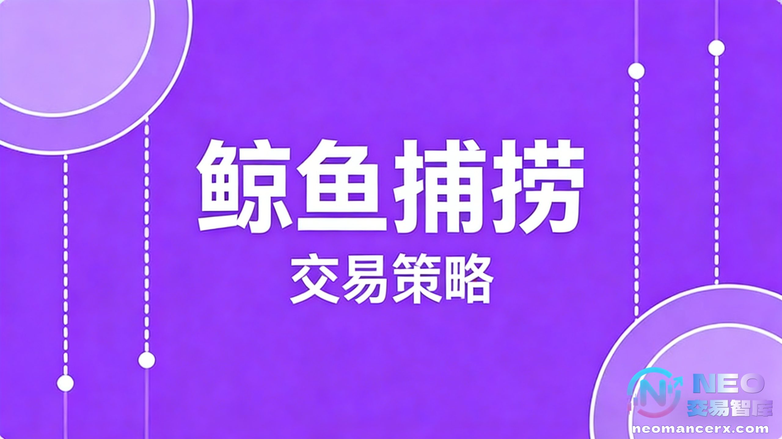 图片[1]-鲸鱼捕捞交易策略详解